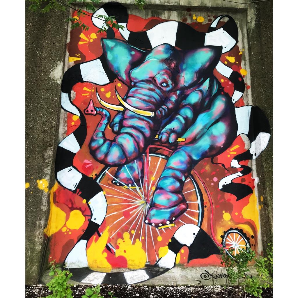 PakRat Ink "Elephant on a Penny Farthing" Mural by Bunny!XLV